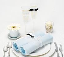 3003 Bride & Groom Attired Toasting Flutes $29.98