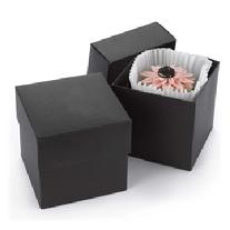 Black Cupcake Box