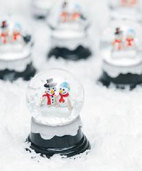 8116-Snowglobe Wedding Favour $3.00