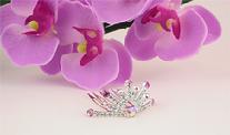 CR174-6 Baby Flower Girl Crystal Tiara 