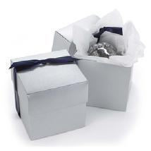 Silver Shimmer Cupcake Box