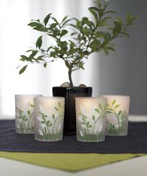 7003 Botanical Garden Green & White Votive Holders