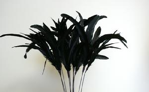 Feather Pick Black