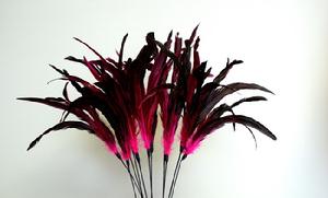 Feather Pick Fuchsia