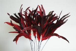 Feather Pick Red