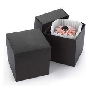 Black Cupcake Box