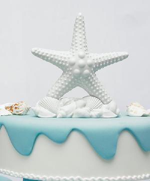 8559 Starfish Cake Topper