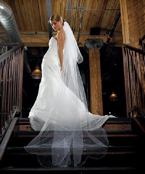 8966 Two Tier Floor Length Veil with Beaded Scatter Design and Scalloped Edge